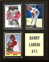 8×10 Plaques