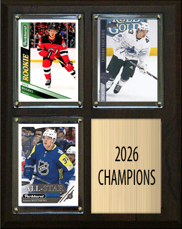 2026 Team USA Hockey Gold Medal Olympic Plaque Auston Matthew Jack Hughes Quinn Hughes