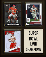 8×10 Plaques