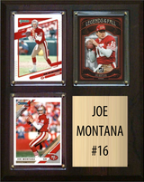 8×10 Plaques