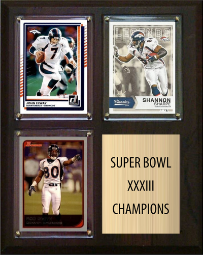 Denver Broncos Super Bowl XXXIII Champions Fan Gift Plaque 8x10 3 Cards