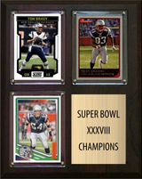 New England Patriots Super Bowl XXXVIII Champions Fan Gift Plaque 8x10 3 Cards