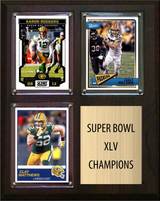Green Bay Packers Super Bowl XLV Champions Fan Gift Plaque 8x10 3 Cards