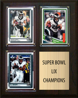 Philadelphia Eagles Super Bowl LIX Champions Fan Gift Plaque 8x10 3 Cards