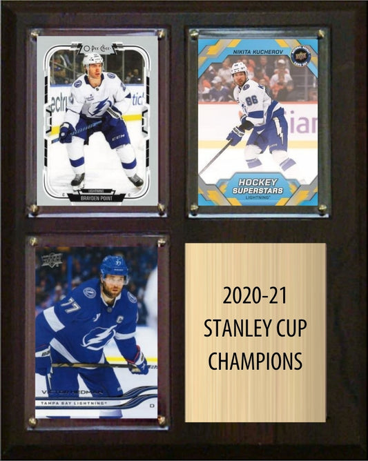 Tampa Bay Lightning 2020-21 Stanley Cup Champions Fan Gift Plaque 8x10 3 Cards plaque
