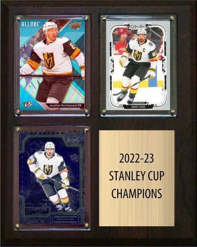 Vegas Golden Knights 2022-23 Stanley Cup Champions Fan Gift Plaque 8x10 3 Cards plaque