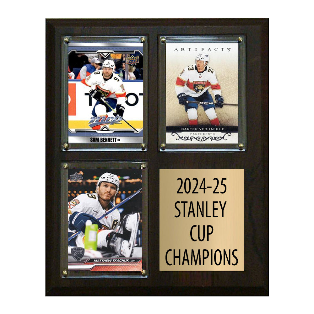 2025 2024-25 Florida Panthers Stanley Cup Champions 3 Card plaque