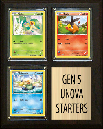 mega rarest pokemon card Universal Gold Card Pokémon Extended Artwork Protective Card Display C –  Magic Chest