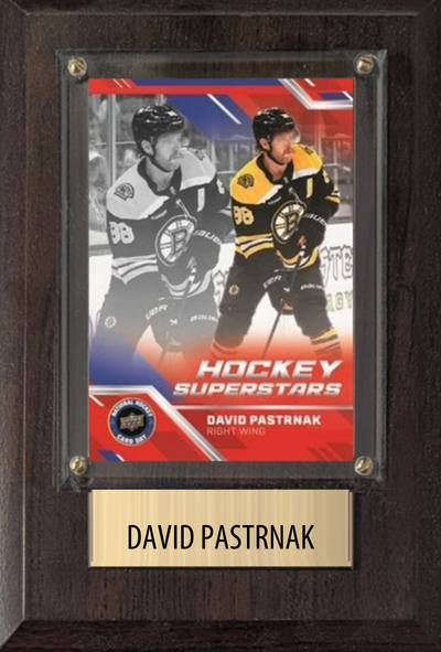David Pastrnak Boston Bruins hockey plaque with 1 trading card and engraved nameplate, 4x6 fan cave display
