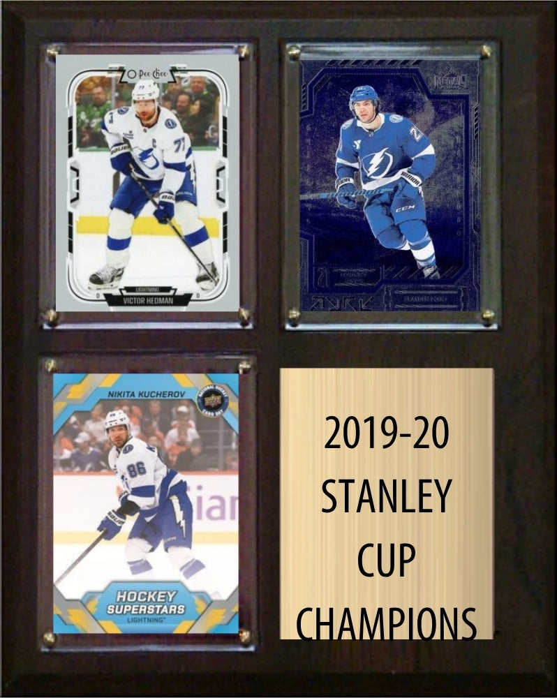Tampa Bay Lightning 2019-20 Stanley Cup Champions Fan Gift Plaque 8x10 3 Cards plaque