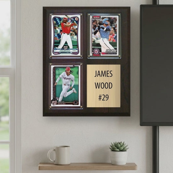 James Wood plaque video - vertical 9x16