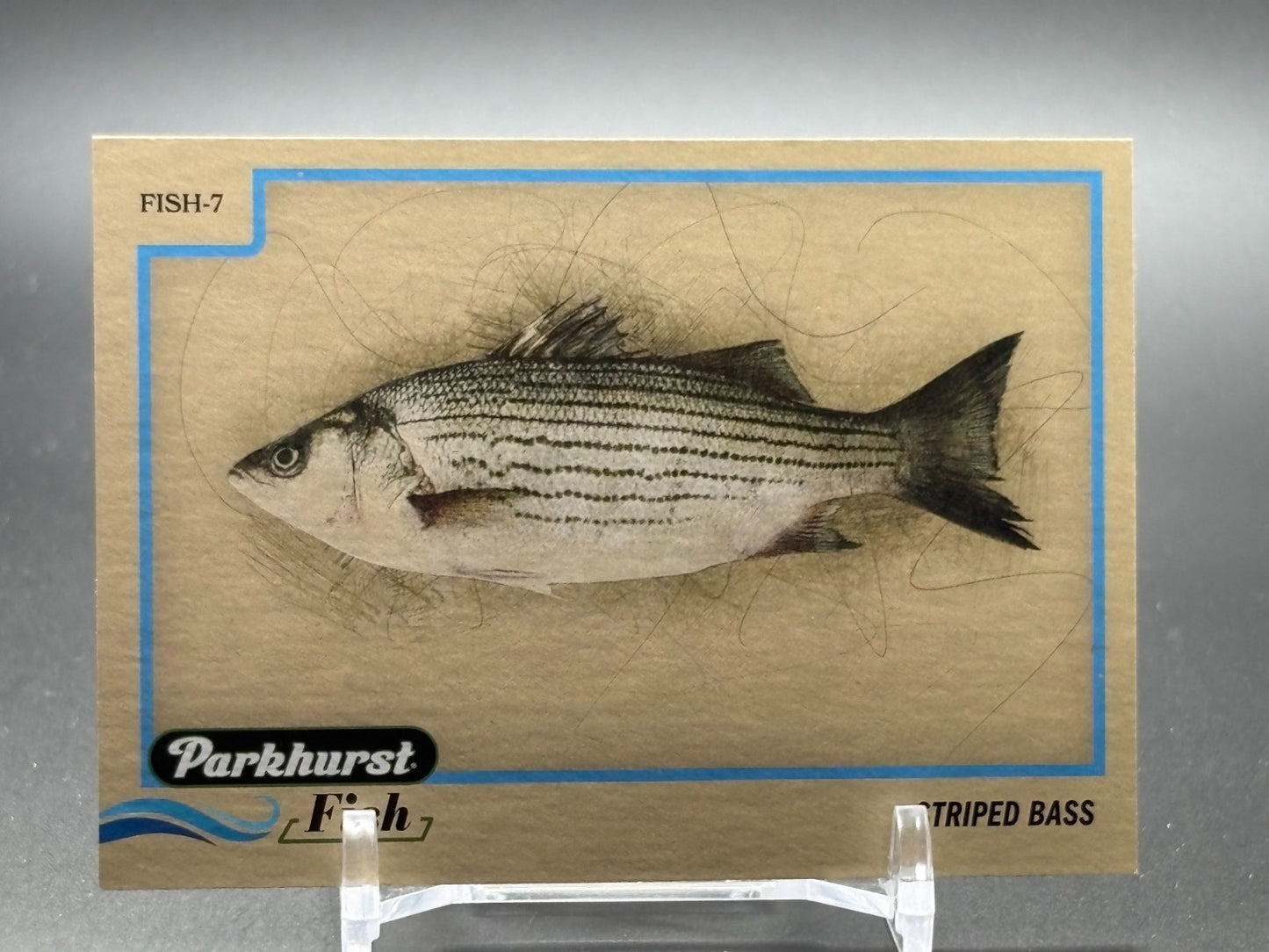 2025-26 Upper Deck Parkhurst Fish Striped Bass #FISH-7
