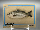 2025-26 Upper Deck Parkhurst Fish Striped Bass #FISH-7