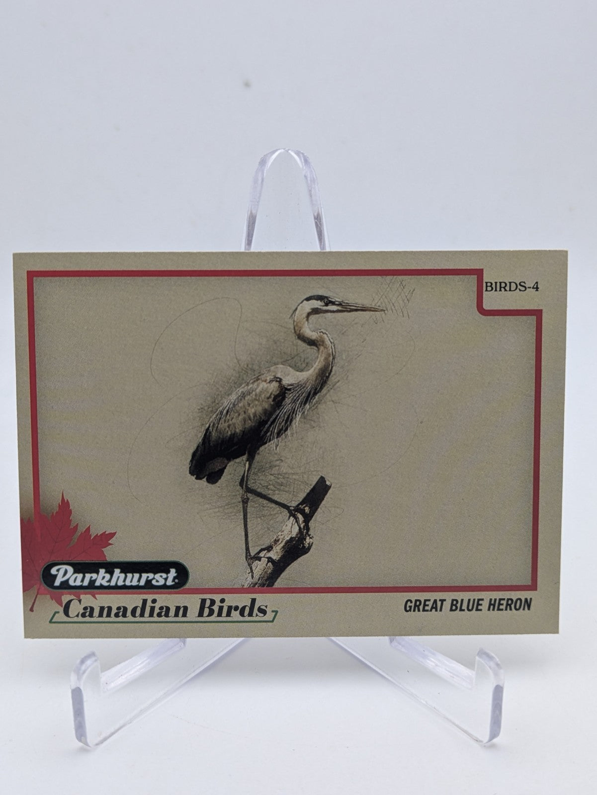 2025-26 Upper Deck Parkhurst Canadian Birds Great Blue Heron #BIRDS-4