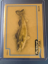 2025-26 Upper Deck Parkhurst Fish Walleye #FISH-4