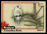 2025-26 Upper Deck Parkhurst Canadian Birds Canada Jay #BIRDS-2