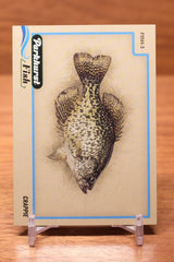 2025-26 Upper Deck Parkhurst Fish Crappie #FISH-3
