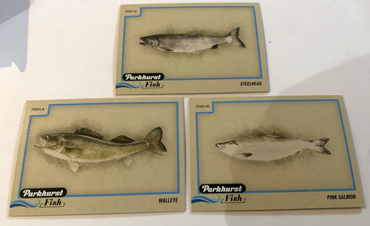 2025-26 Upper Deck Parkhurst Fish Steelhead #FISH-6