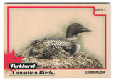 2025-26 Upper Deck Parkhurst Canadian Birds Common Loon #BIRDS-3
