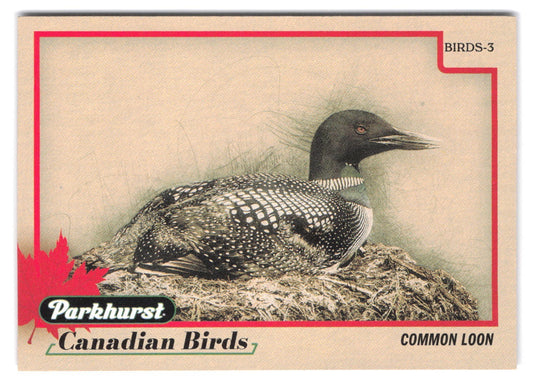 2025-26 Upper Deck Parkhurst Canadian Birds Common Loon #BIRDS-3