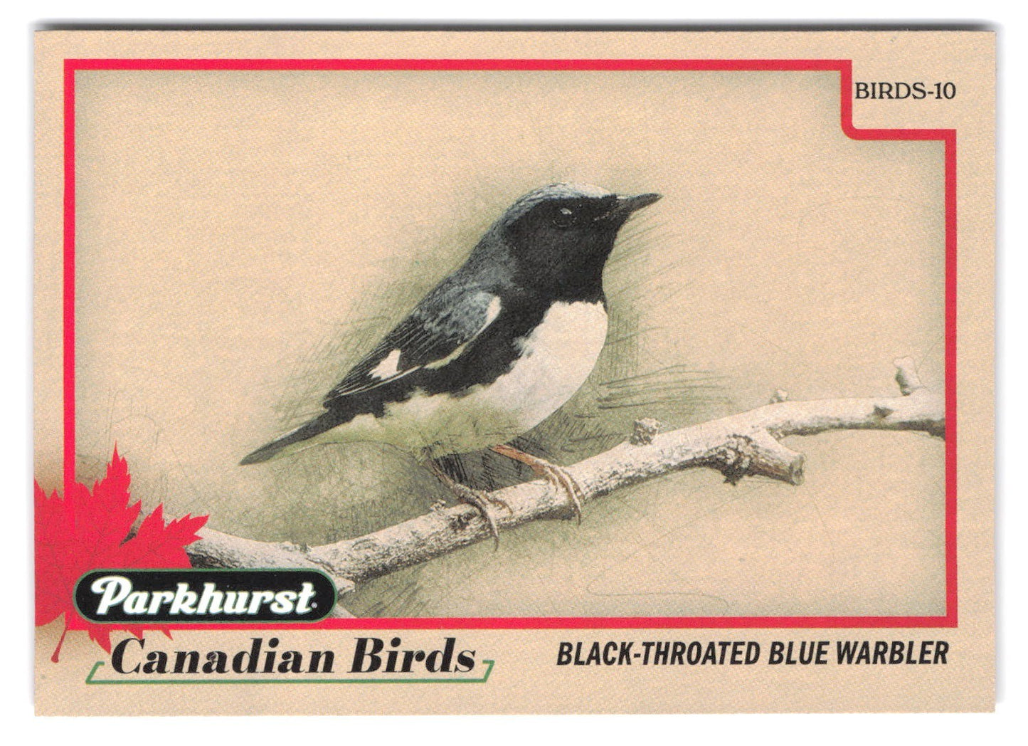 2025-26 Upper Deck Parkhurst Canadian Birds Black-throated Blue Warbler #BIRDS-10