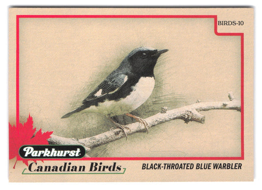 2025-26 Upper Deck Parkhurst Canadian Birds Black-throated Blue Warbler #BIRDS-10