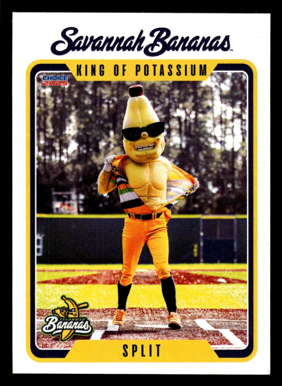 Savannah Bananas 2025 Player Cards - Complete Set - 34 Cards - Flash Tha Kid RAC plaque