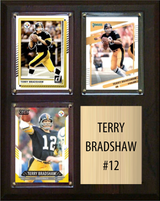 Terry Bradshaw Pittsburgh Steelers Hall of Fame Fan Gift Plaque 8x10 3 Cards Prizm, Donruss, Score 2024 2025 2026